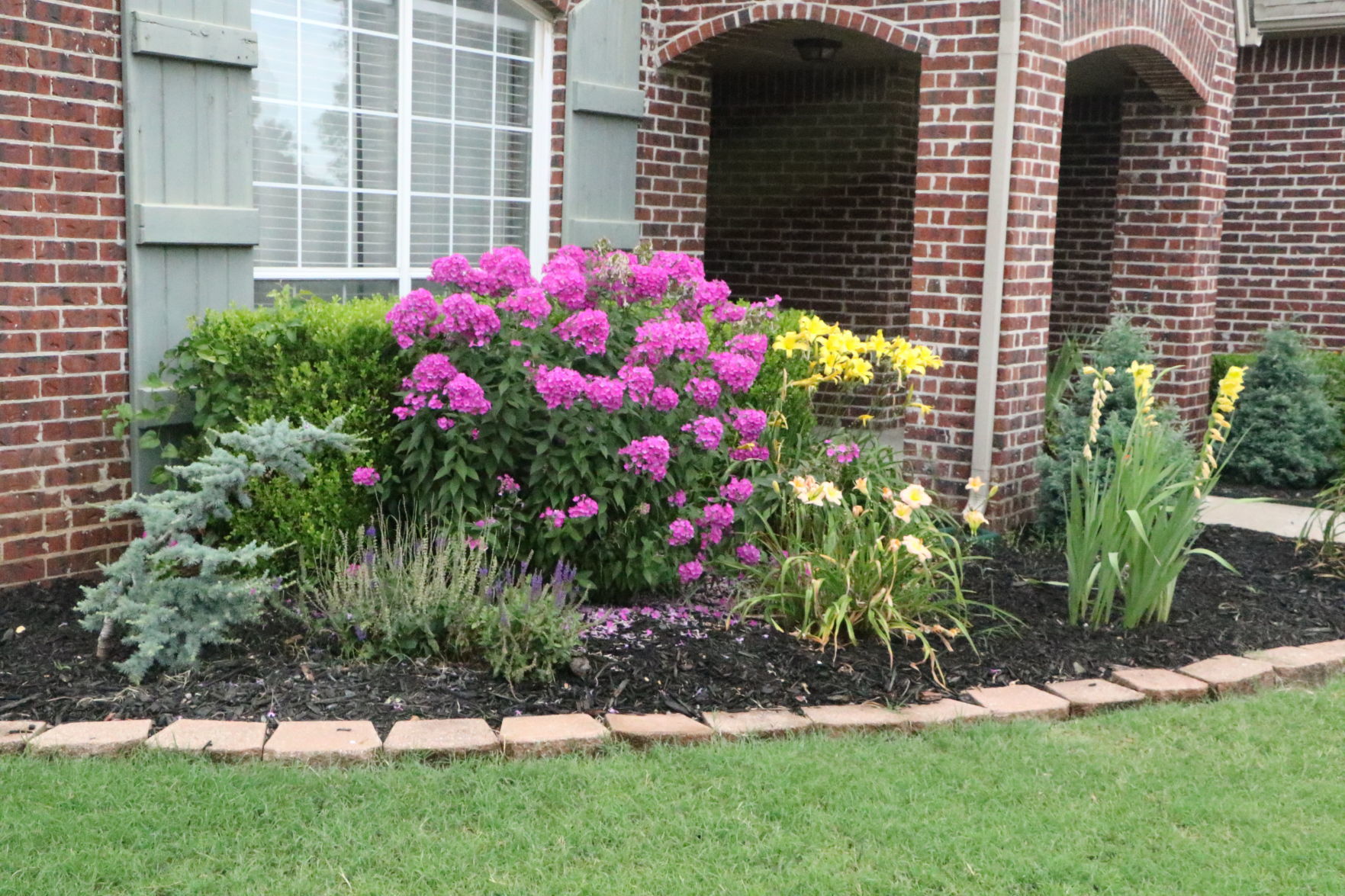 July Yard of the Month
